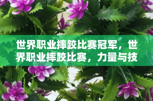 世界职业摔跤比赛冠军，世界职业摔跤比赛，力量与技巧的巅峰对决