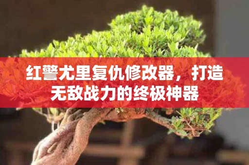 打造无敌战力的终极神器图片