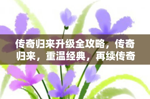 传奇归来升级全攻略，传奇归来，重温经典，再续传奇