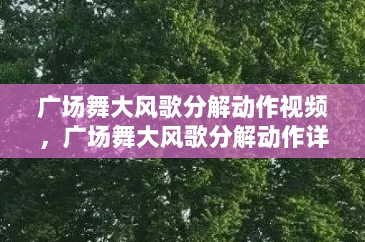广场舞大风歌分解动作视频，广场舞大风歌分解动作详解