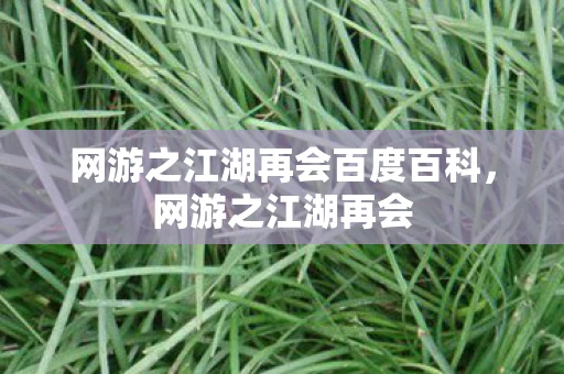 网游之江湖再会百度百科，网游之江湖再会