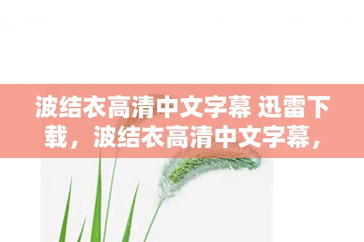 波结衣高清中文字幕 迅雷下载，波结衣高清中文字幕，解锁影视新体验