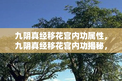 九阴真经移花宫内功属性，九阴真经移花宫内功揭秘，武侠世界的内功奥秘