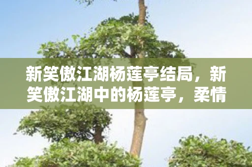 新笑傲江湖杨莲亭结局，新笑傲江湖中的杨莲亭，柔情侠骨的江湖传奇
