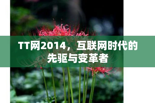 TT网2014，互联网时代的先驱与变革者