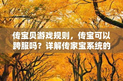 传宝贝游戏规则，传宝可以跨服吗？详解传家宝系统的跨服机制