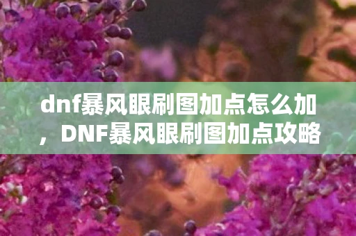 dnf暴风眼刷图加点怎么加，DNF暴风眼刷图加点攻略，打造高效战斗力的关键