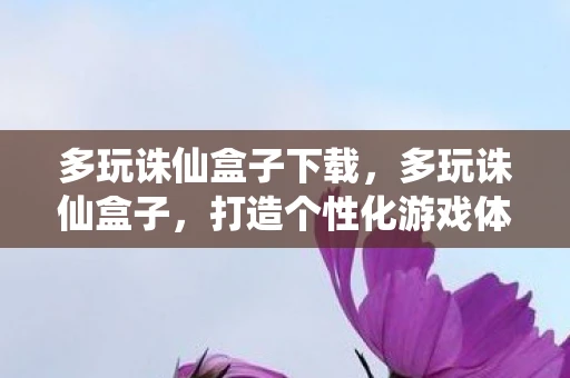 多玩诛仙盒子下载，多玩诛仙盒子，打造个性化游戏体验的必备神器