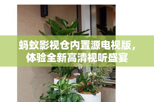 蚂蚁影视仓内置源电视版图片