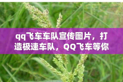 qq飞车车队宣传图片，打造极速车队，QQ飞车等你来加入！