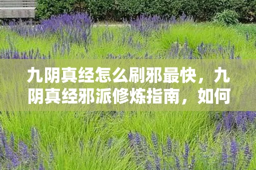九阴真经怎么刷邪最快，九阴真经邪派修炼指南，如何高效刷取经验