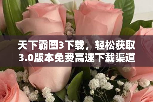 0版本免费高速下载渠道图片