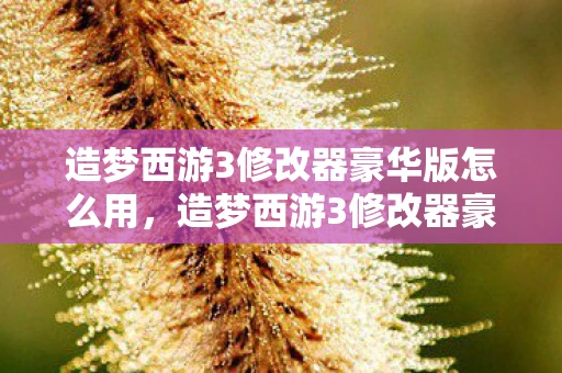 造梦西游3修改器豪华版怎么用，造梦西游3修改器豪华版，解锁无限可能的冒险之旅