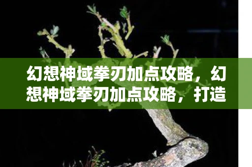 幻想神域拳刃加点攻略，幻想神域拳刃加点攻略，打造最强近战输出