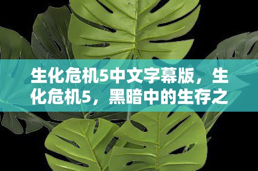 生化危机5中文字幕版，生化危机5，黑暗中的生存之战