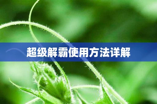 超级解霸使用方法详解图片