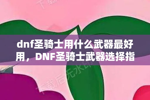dnf圣骑士用什么武器最好用，DNF圣骑士武器选择指南，打造最强守护者的装备搭配