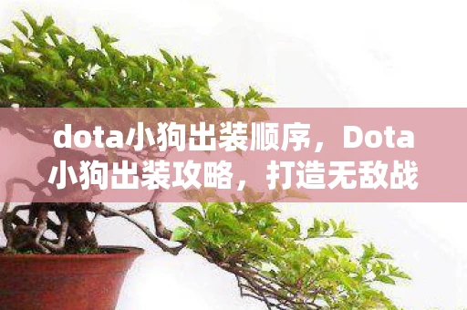 dota小狗出装顺序，Dota小狗出装攻略，打造无敌战斗力的关键步骤