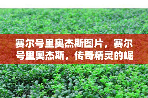 赛尔号里奥杰斯图片，赛尔号里奥杰斯，传奇精灵的崛起与荣耀