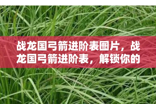 战龙国弓箭进阶表图片,战龙国弓箭进阶表,解锁你的弓箭大师之路 战龙国弓箭进阶表图片,战龙国弓箭进阶表,解锁你的弓箭大师之路