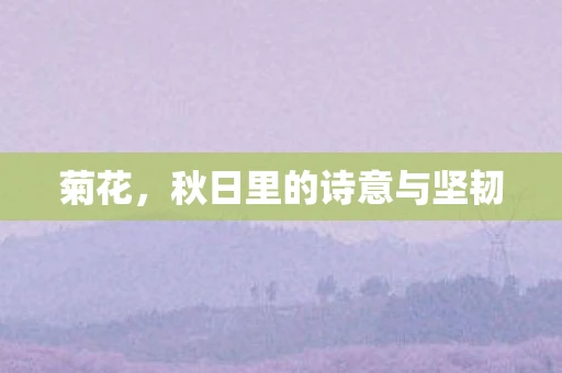 菊花，秋日里的诗意与坚韧