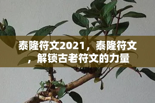 泰隆符文2021，泰隆符文，解锁古老符文的力量