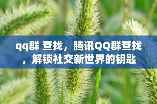 qq群 查找，腾讯QQ群查找，解锁社交新世界的钥匙