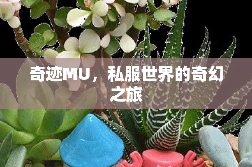 奇迹MU，私服世界的奇幻之旅
