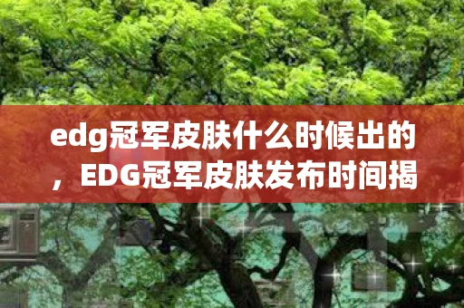edg冠军皮肤什么时候出的，EDG冠军皮肤发布时间揭秘，万众期待的荣耀时刻即将来临！