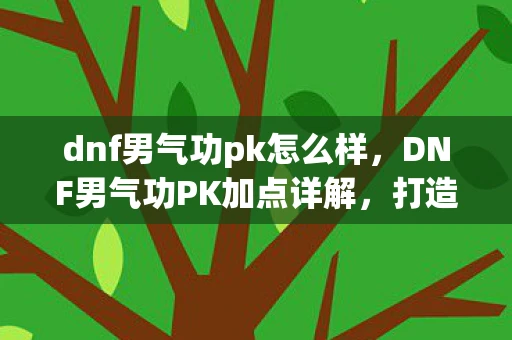 dnf男气功pk怎么样，DNF男气功PK加点详解，打造无敌连招，称霸PK场