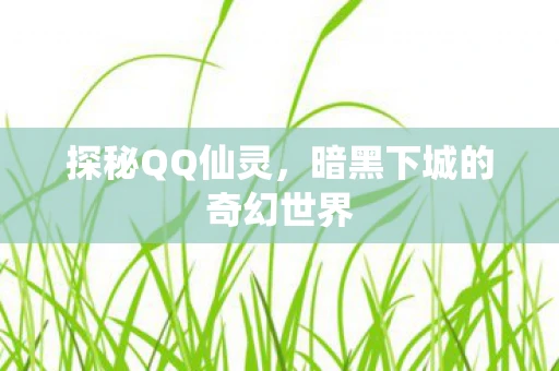 探秘QQ仙灵，暗黑下城的奇幻世界