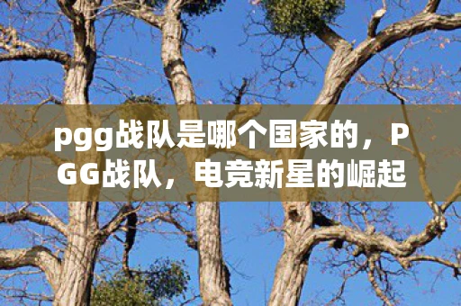 pgg战队是哪个国家的，PGG战队，电竞新星的崛起之路