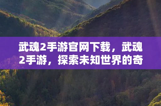 武魂2手游官网下载，武魂2手游，探索未知世界的奇幻之旅