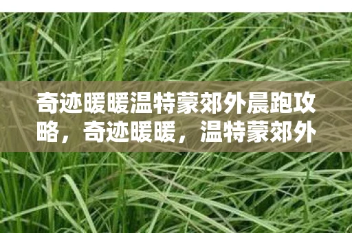 奇迹暖暖温特蒙郊外晨跑攻略，奇迹暖暖，温特蒙郊外的晨跑之旅