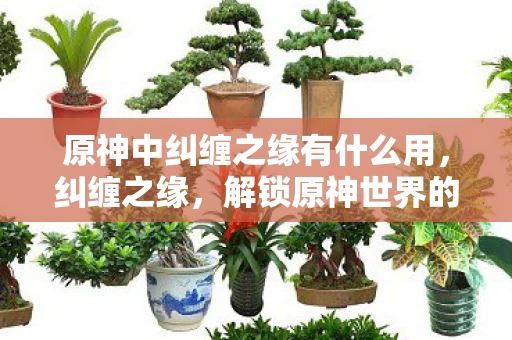 原神中纠缠之缘有什么用，纠缠之缘，解锁原神世界的神秘钥匙