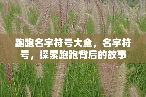 跑跑名字符号大全，名字符号，探索跑跑背后的故事