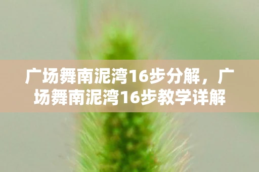 广场舞南泥湾16步分解，广场舞南泥湾16步教学详解