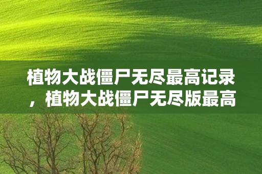 植物大战僵尸无尽最高记录，植物大战僵尸无尽版最高纪录，挑战与荣耀的传奇