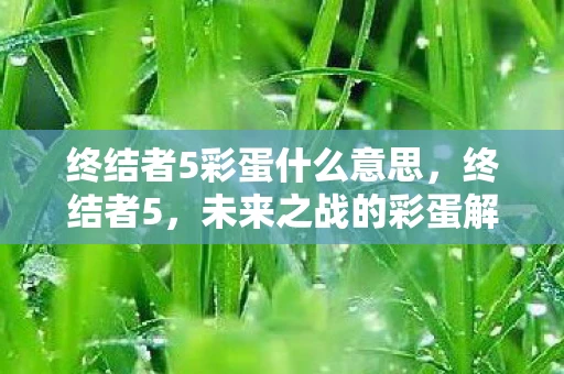 终结者5彩蛋什么意思，终结者5，未来之战的彩蛋解析