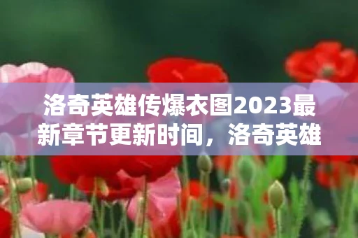洛奇英雄传爆衣图2023最新章节更新时间，洛奇英雄传爆衣，一场虚拟世界的性感盛宴