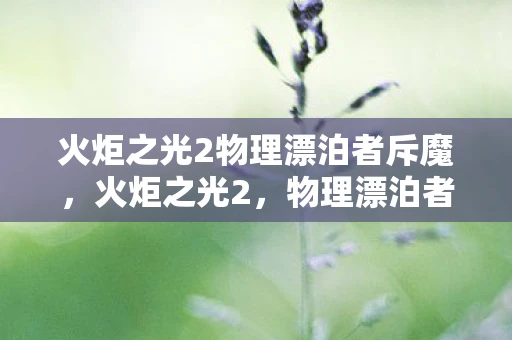 火炬之光2物理漂泊者斥魔，火炬之光2，物理漂泊者的无尽征途