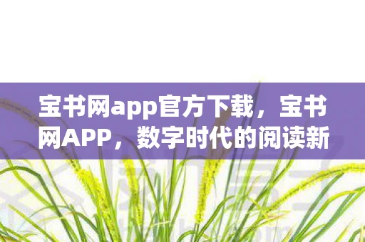 宝书网app官方下载，宝书网APP，数字时代的阅读新选择