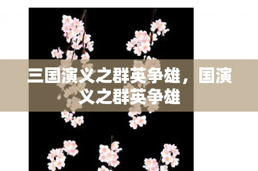 三国演义之群英争雄，国演义之群英争雄