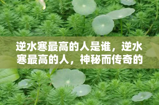逆水寒最高的人是谁，逆水寒最高的人，神秘而传奇的存在