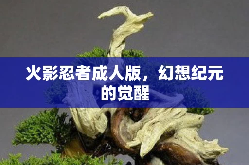 火影忍者成人版图片