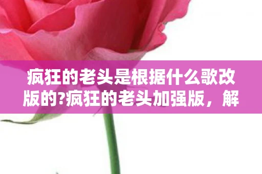 疯狂的老头是根据什么歌改版的?疯狂的老头加强版，解锁智慧与幽默的无限可能