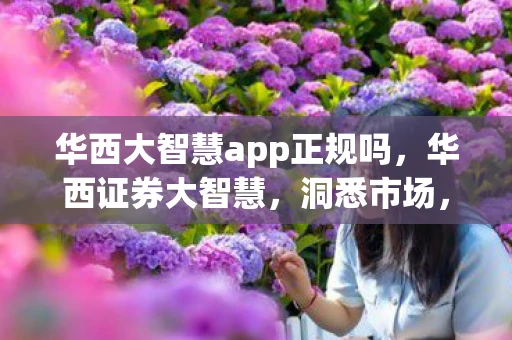 华西大智慧app正规吗，华西证券大智慧，洞悉市场，引领智慧投资新风尚