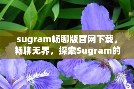 sugram畅聊版官网下载，畅聊无界，探索Sugram的无限可能