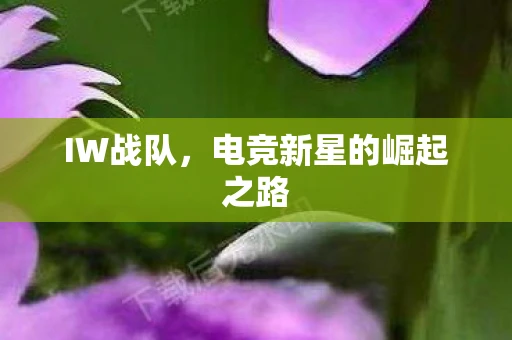 IW战队，电竞新星的崛起之路