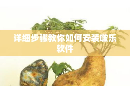 详细步骤教你如何安装啵乐软件图片